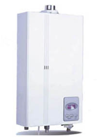 tankless water heater model ez deluxe